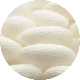 (加水分解シルク/PG プロピルメチルシランジオール)クロスポリマー