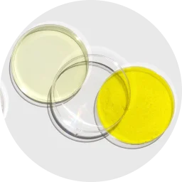 イソノナン酸イソノニル